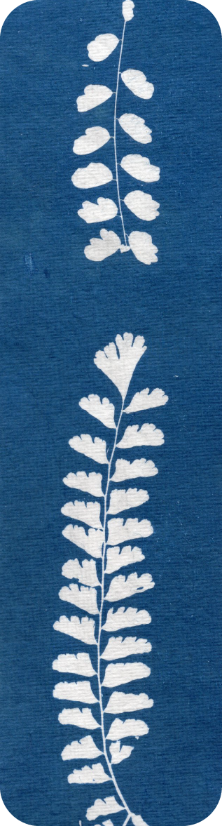 bookmark