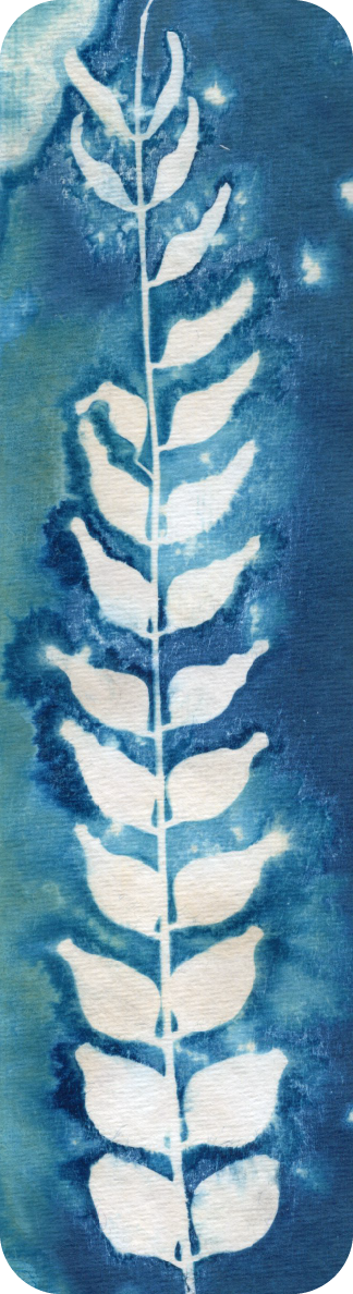 salt and vinegar wet cyanotype bookmark