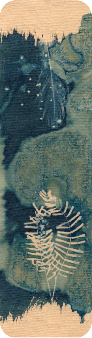 salt and vinegar wet cyanotype bookmark