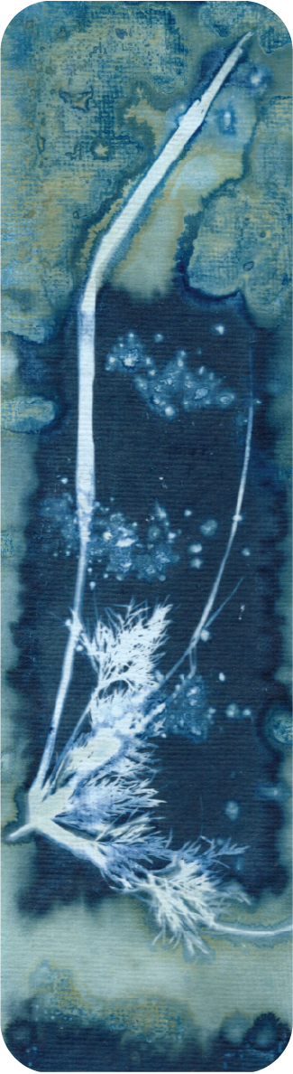 salt and vinegar wet cyanotype bookmark