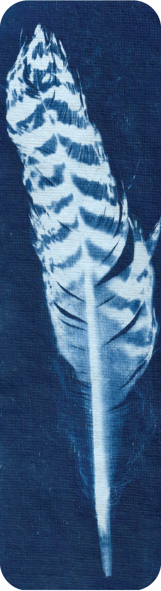 cyanotype bookmark
