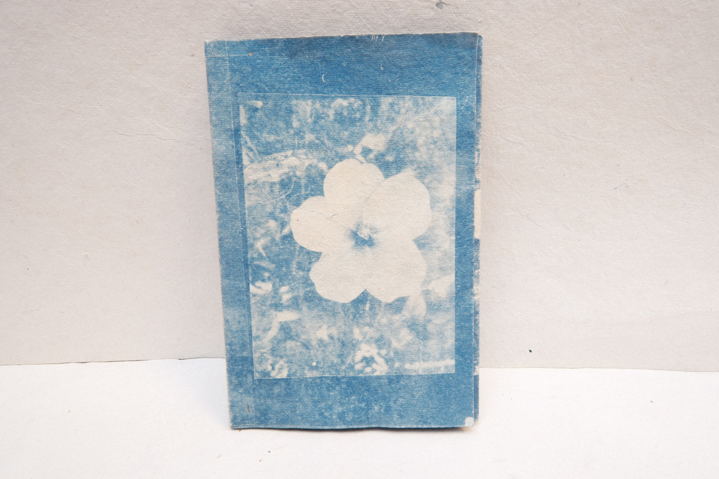photo zine
