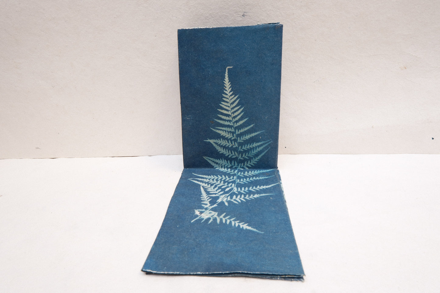 cyanotype botanical zine