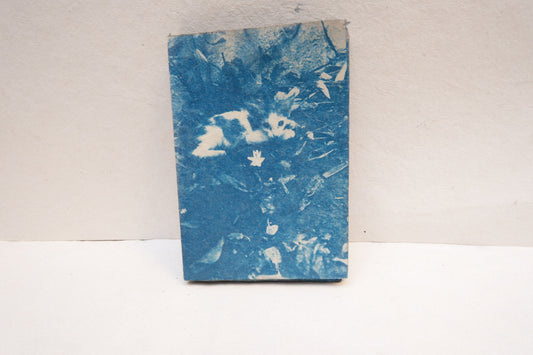 cyanotype cat zine