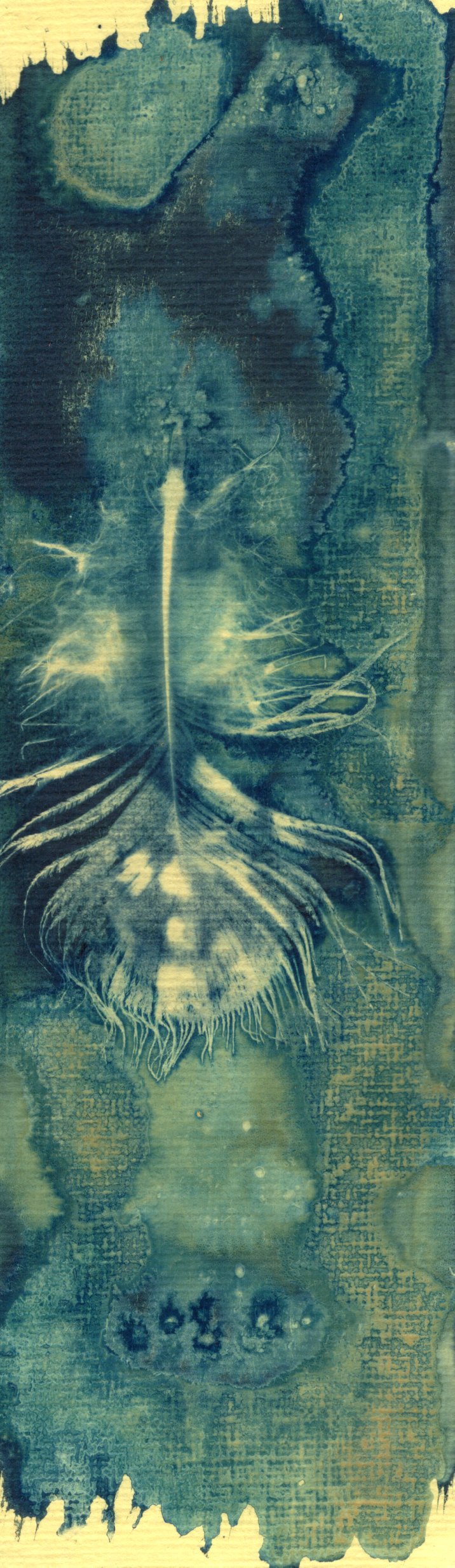 salt and vinegar wet cyanotype bookmarks