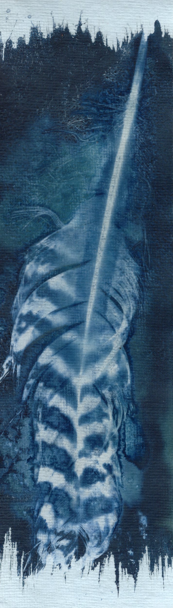 salt and vinegar wet cyanotype bookmark