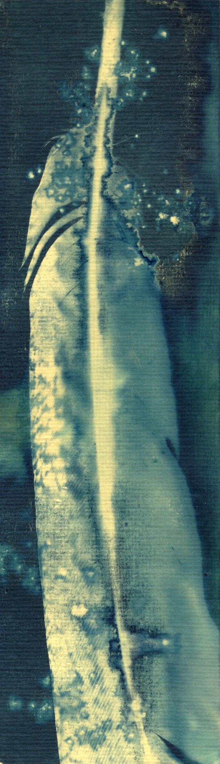 salt and vinegar wet cyanotype bookmark
