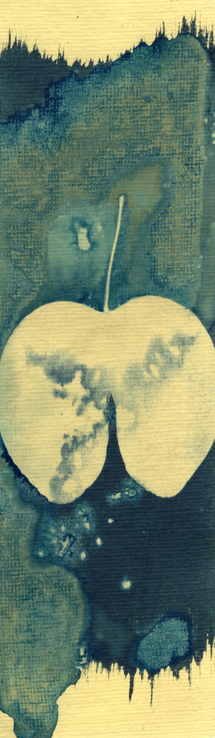 salt and vinegar wet cyanotype bookamark