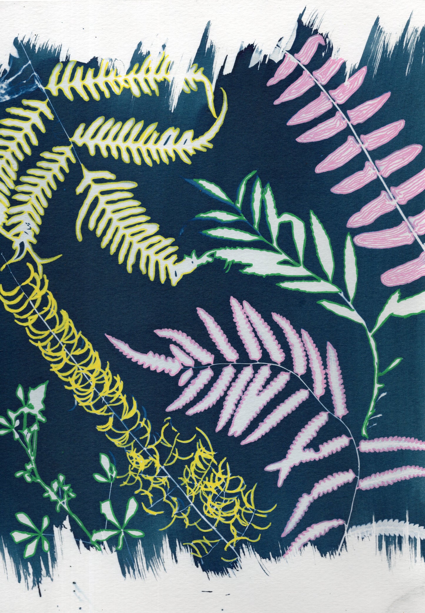 botanical coloured cyanotype print