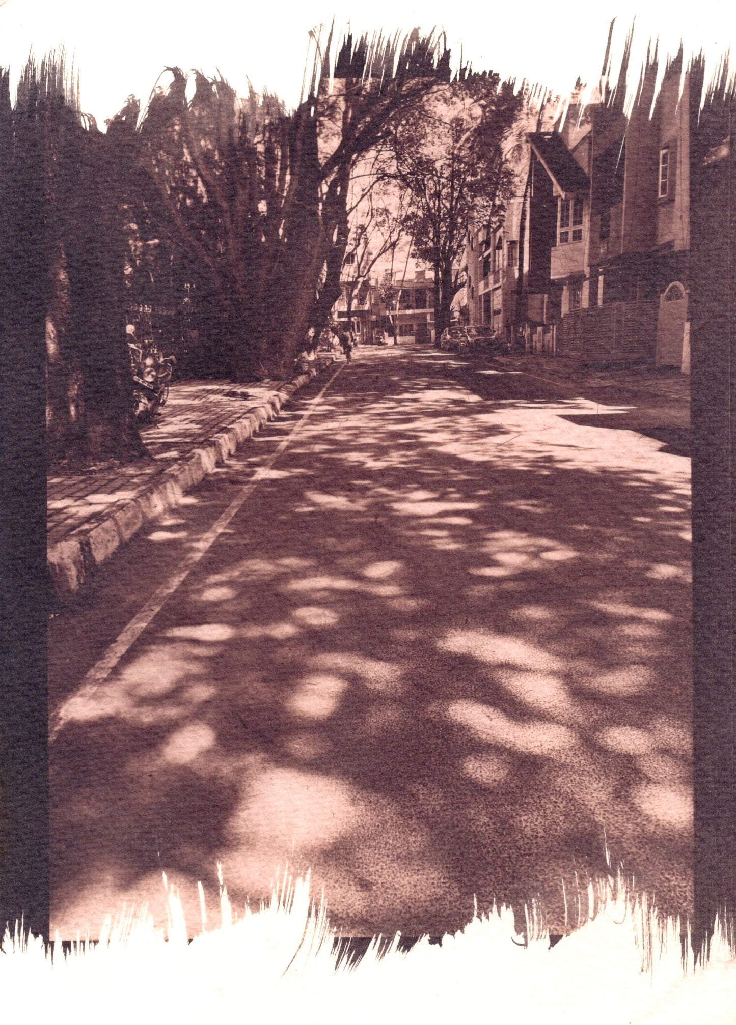 JP nagar, bangalore cyanotype print