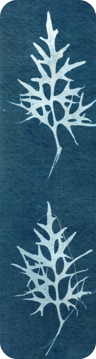 bookmark