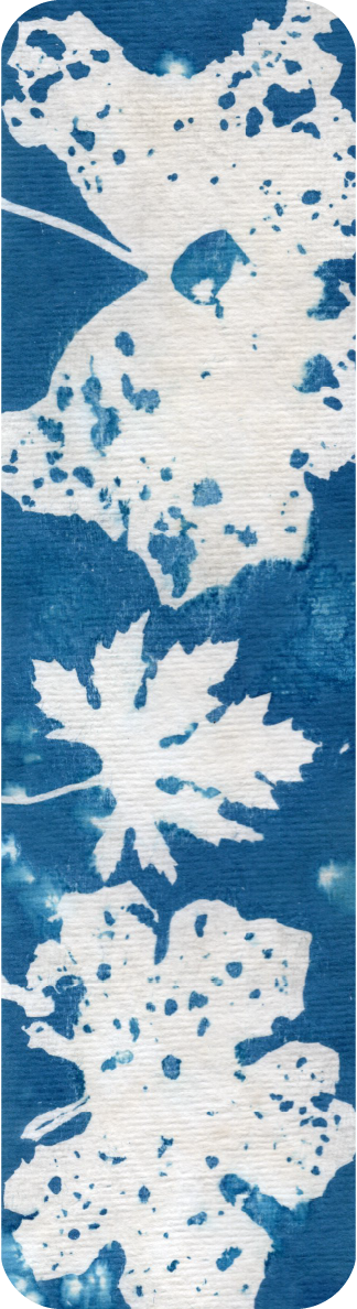 salt and vinegar wet cyanotype bookmark