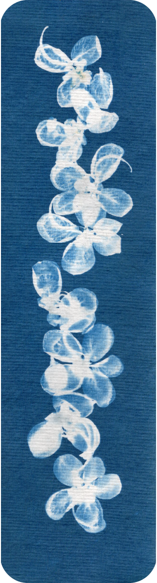 botanical bookmark