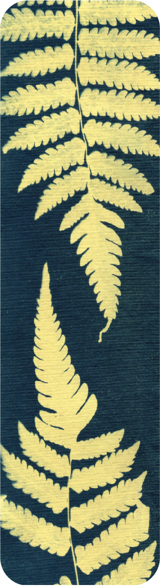 cyanotype bookmark
