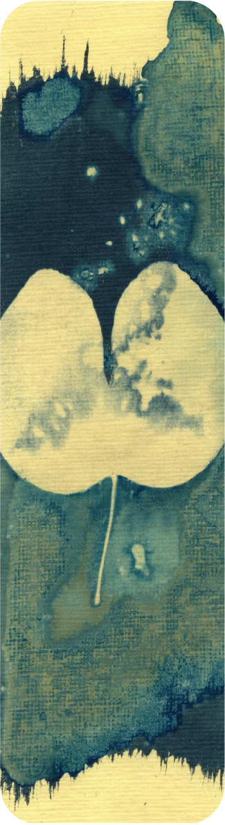 salt and vinegar wet cyanotype bookmark