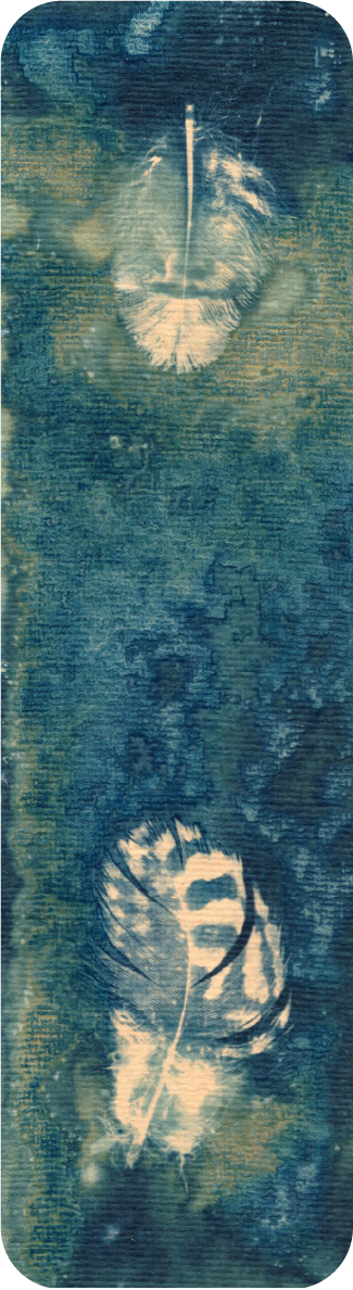 salt and vinegar wet cyanotype bookmark