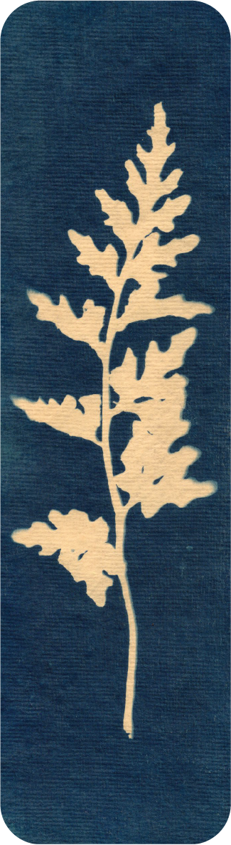 cyanotype bookmark