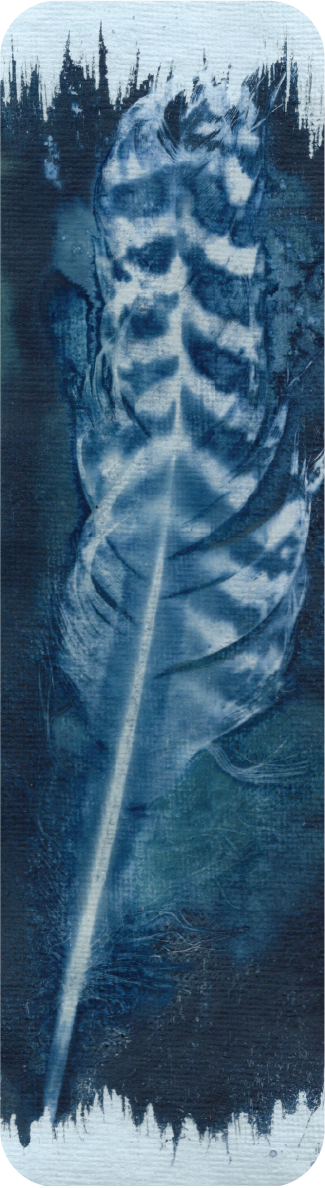 salt and vinegar wet cyanotype bookmark