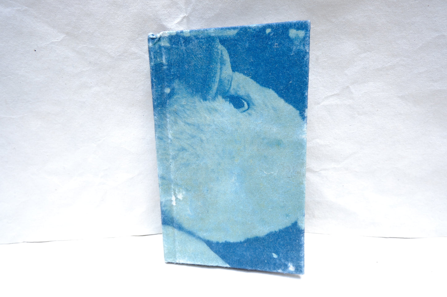 Ravivari, Ahmedabad small sketch book