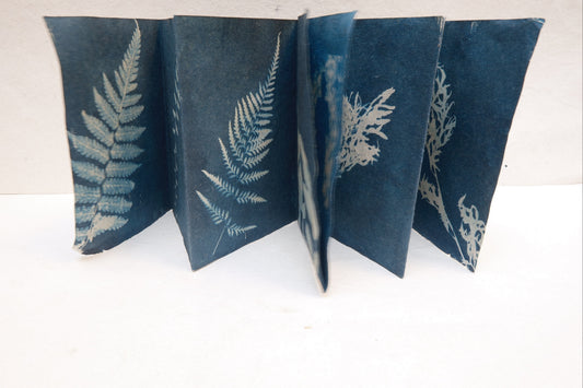 photo and botanical zine