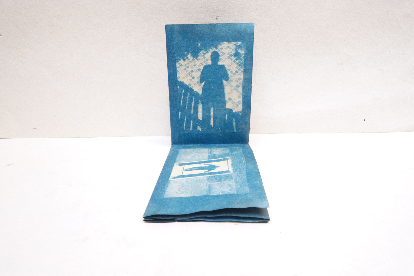 photo and botanical zine