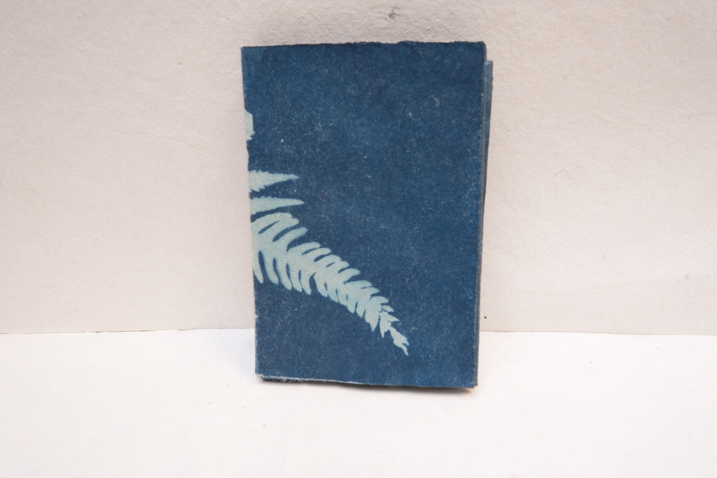 cyanotype botanical zine