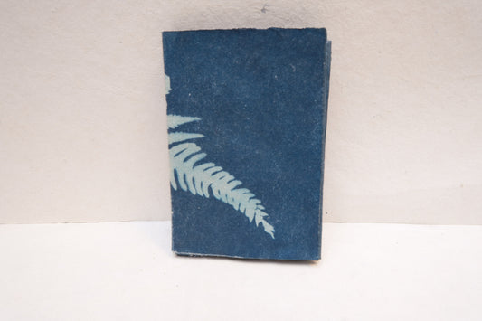 cyanotype botanical zine