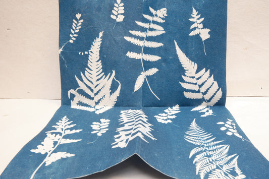 botanical poster zine