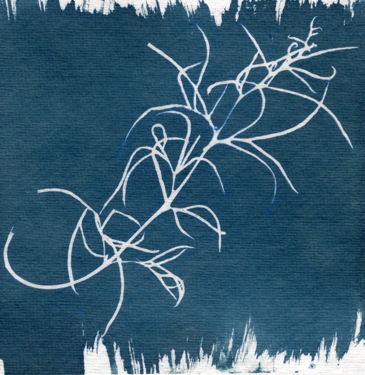 Botanical art print