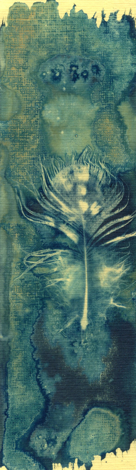 salt and vinegar wet cyanotype bookmarks