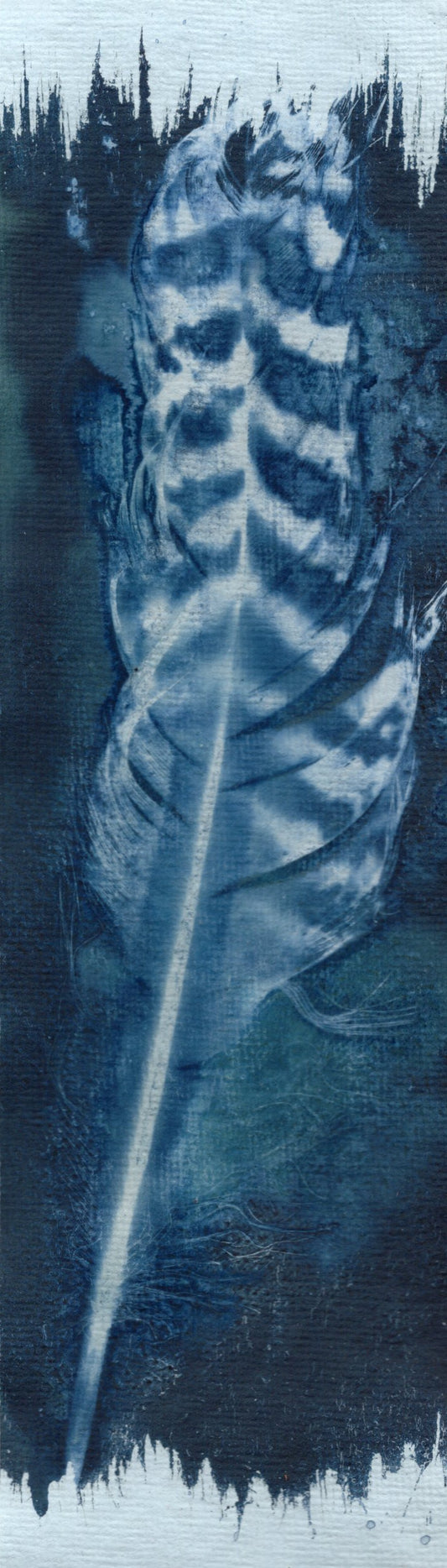 salt and vinegar wet cyanotype bookmark