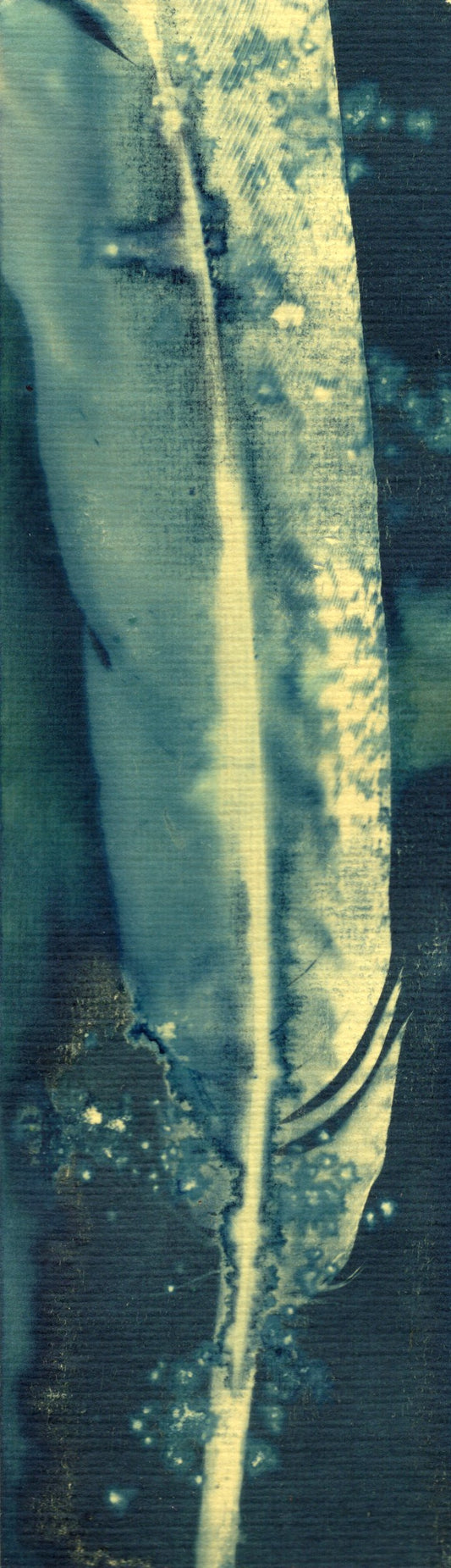 salt and vinegar wet cyanotype bookmark