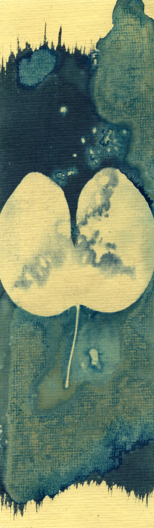 salt and vinegar wet cyanotype bookamark