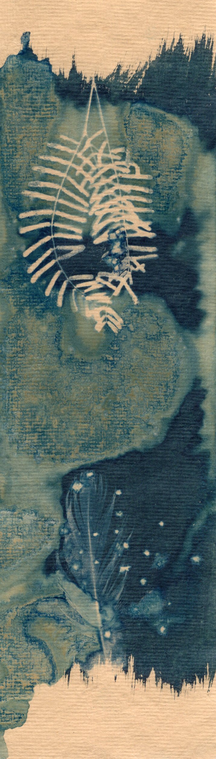salt and vinegar wet cyanotype bookmark