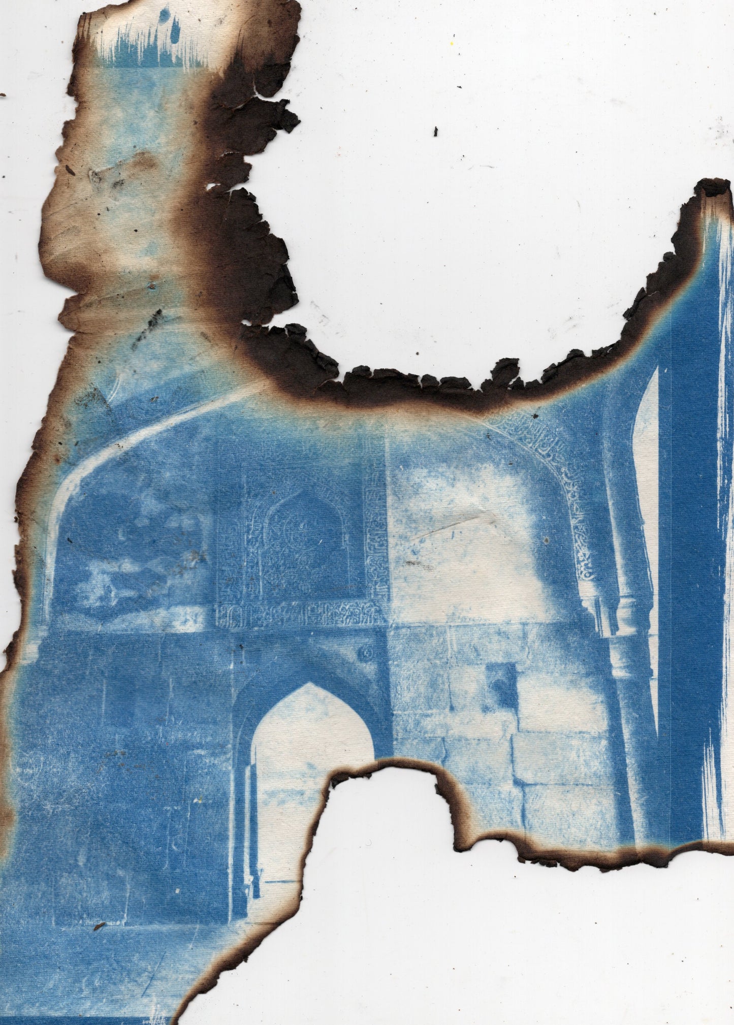 burnt cyanotype art print