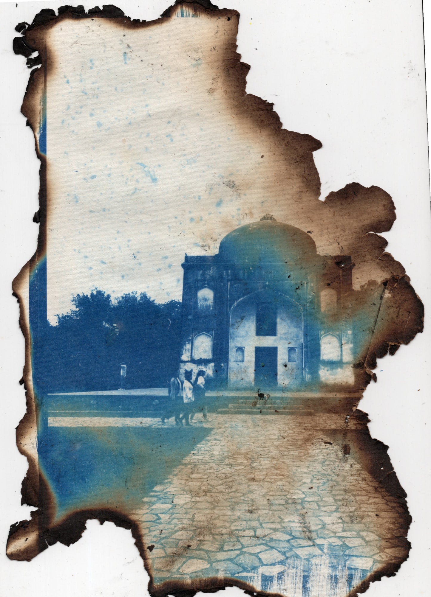 burnt cyanotype art print