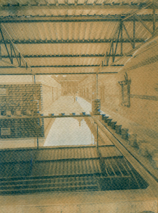 sarkhej roza, ahmedabad, cyanotype duotone art print