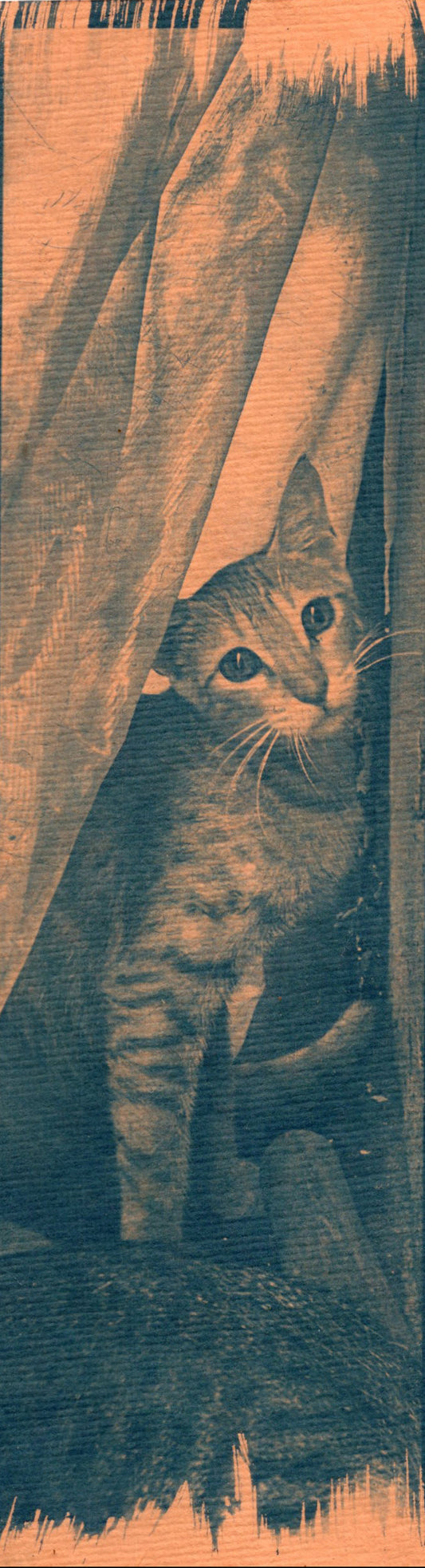 cyanotype cat bookmark