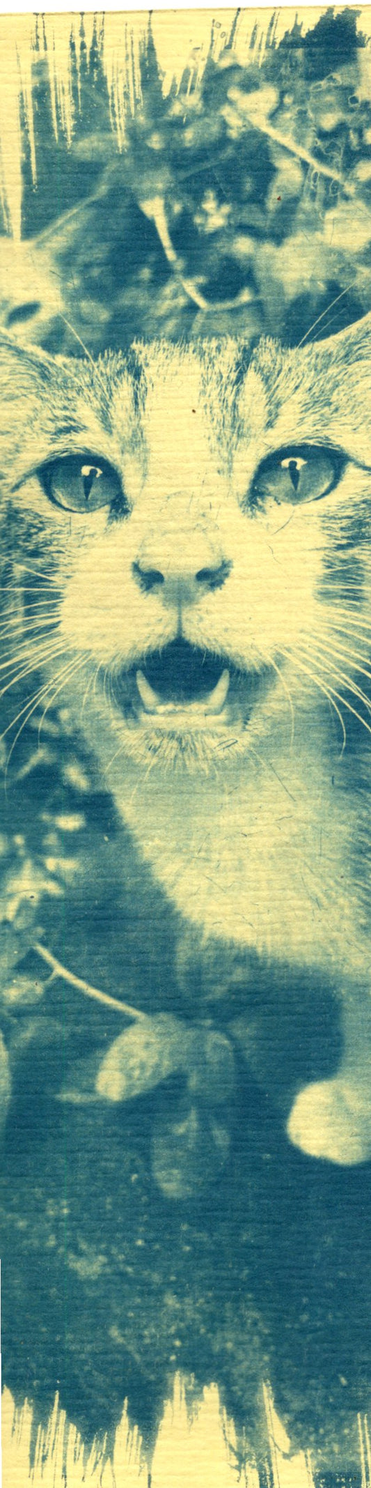 cyanotype cat bookmark