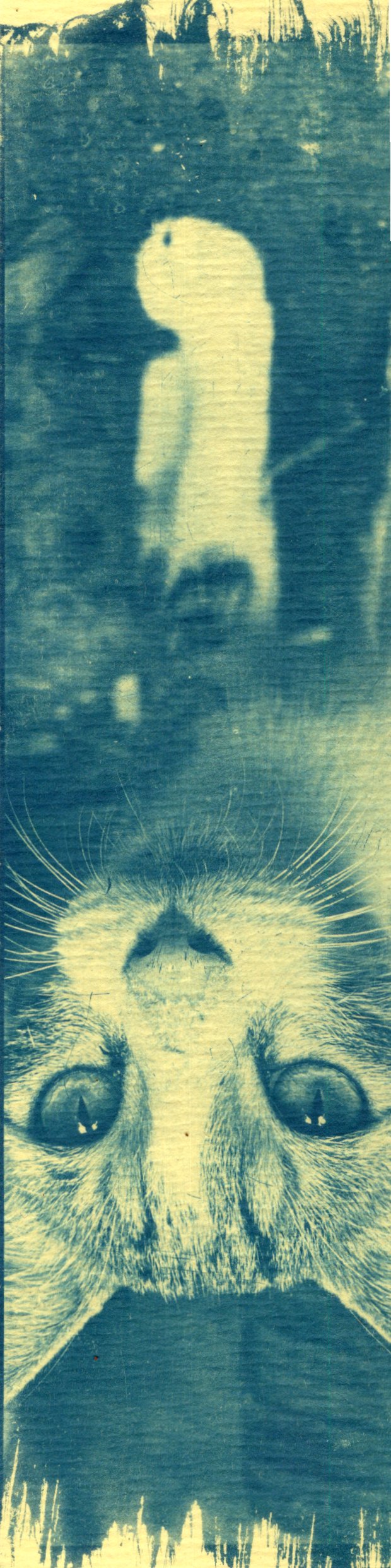 cyanotype cat bookmark