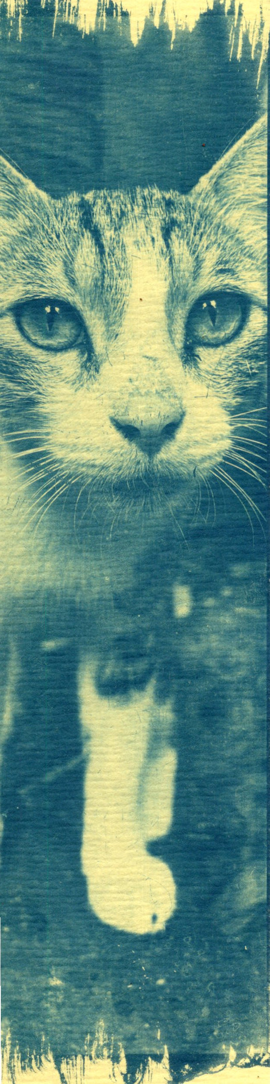 cyanotype cat bookmark