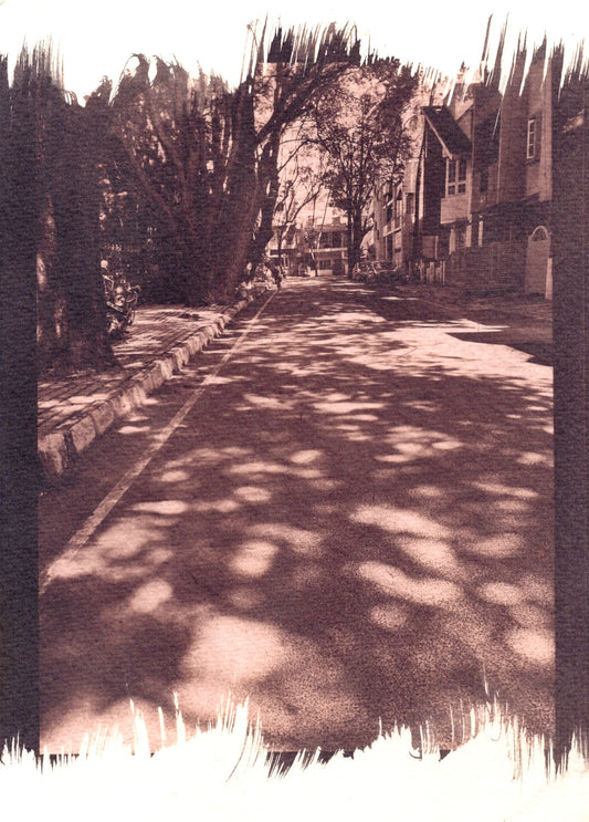 JP nagar, bangalore cyanotype print