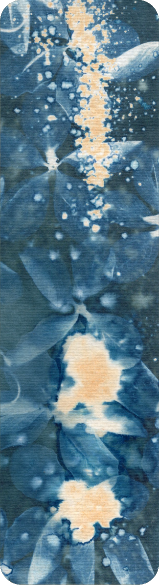cyanotype bookmark of kanikonna flower