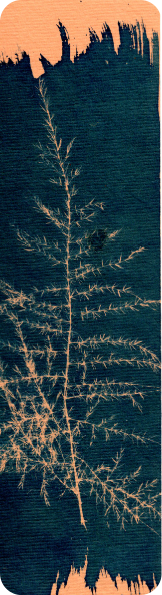 cyanotype bookmark