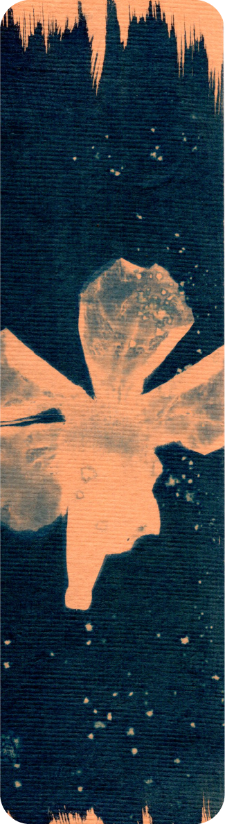 cyanotype bookmark