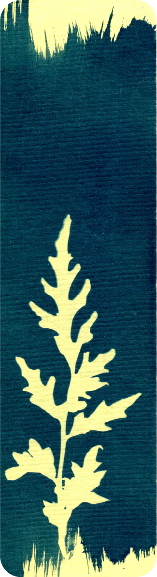 cyanotype bookmark