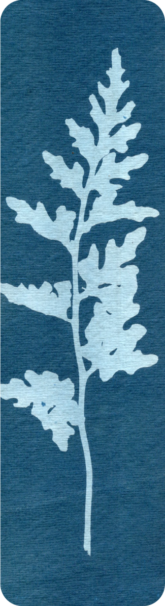 cyanotype bookmark