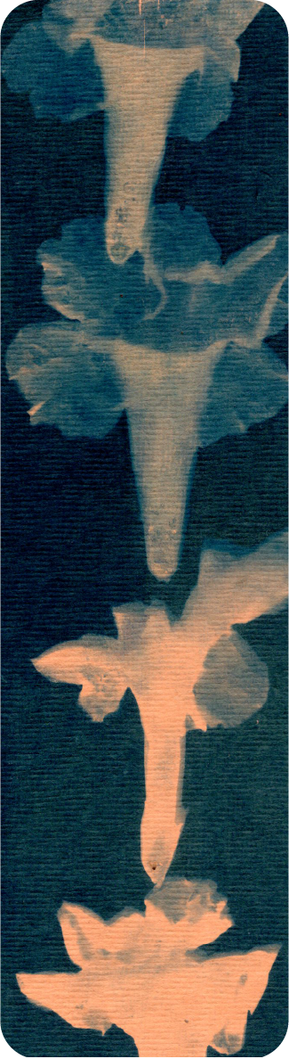 cyanotype bookmark