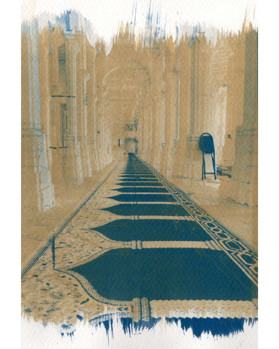 sarkhej roja, ahmedabad cyanotype duotone art print